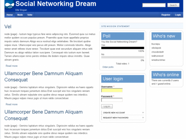 Social Networking Dream